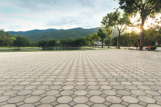 Best Driveway Pavers Near Me  in Bronte, TX
